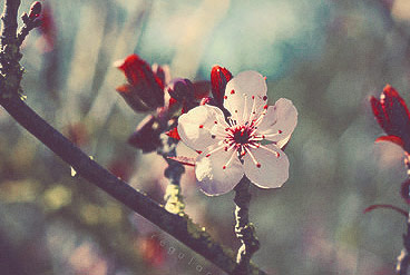 仓储管理平台的呼死你电话轰炸