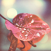 催收短信电话轰炸机